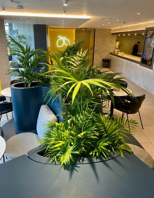 Lemon Restaurant — photo 12